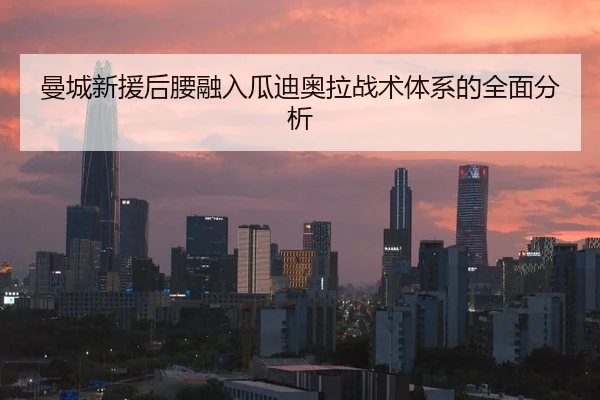 曼城新援后腰融入瓜迪奥拉战术体系的全面分析